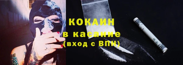 индика Алексеевка