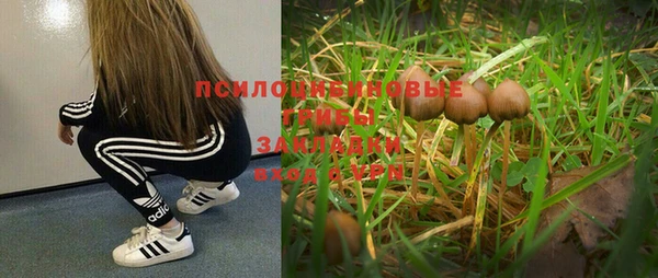 индика Алексеевка